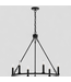 46429 Acroma Birdena 6-Light Matte Black  Chandelier