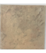 46899 Florence Porcelain Chaparral Tile 30 sq. ft.