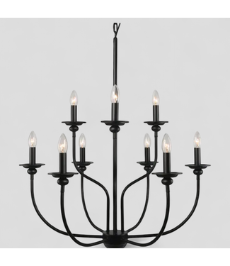 47422 LNC Pict 9-Light Black Chandelier