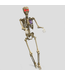 47671 Haunted Living Hanging Skeleton with Red Eyes
