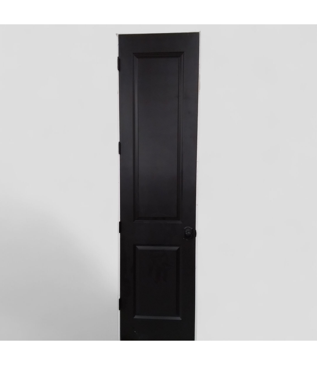 47786 Prehung Black Painted 2 -Panel Door 24" x 96"