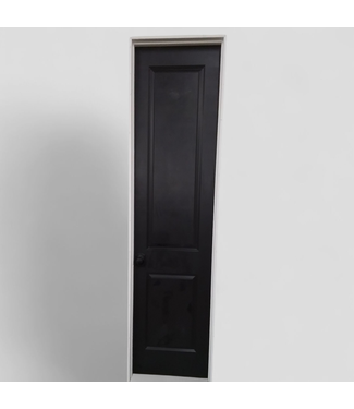 47786 Prehung Black Painted 2 -Panel Door 24" x 96"