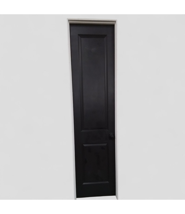47787 Prehung Black Painted 2 -Panel Door 24" x 96"