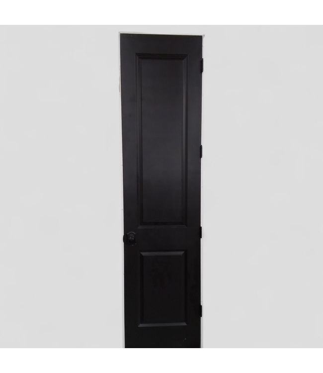 47787 Prehung Black Painted 2 -Panel Door 24" x 96"
