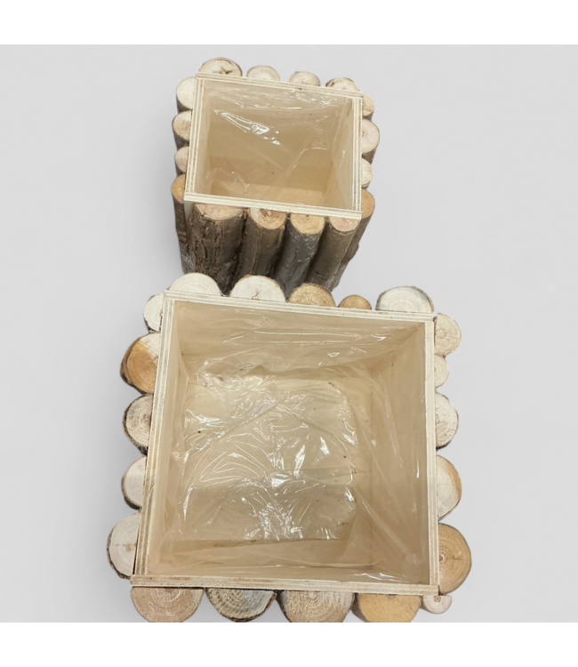 47902 Holiday Living Birch Planter 2-Pack