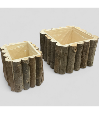 47902 Holiday Living Birch Planter 2-Pack
