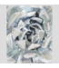 48098 27-in H x 21-in W Botanical Print on Canvas