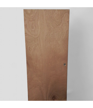 48423  Unfinished Interior Slab Hollow Core Door 36"W