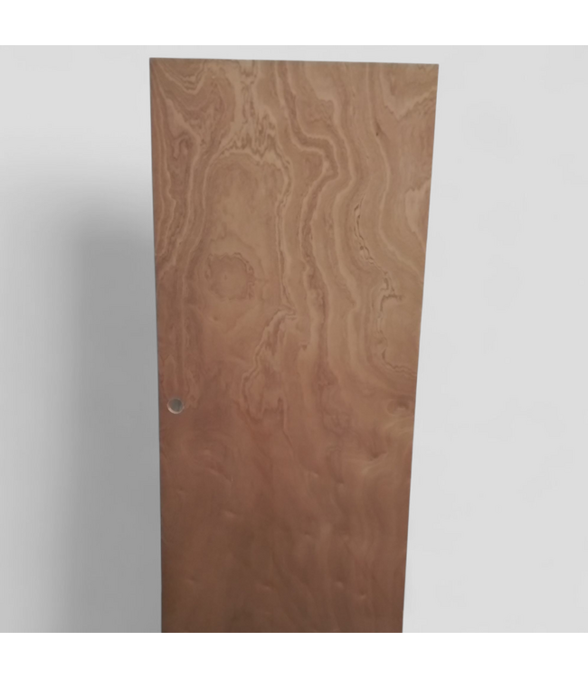 48464 Unfinished Interior Slab Hollow Core Door 36"W