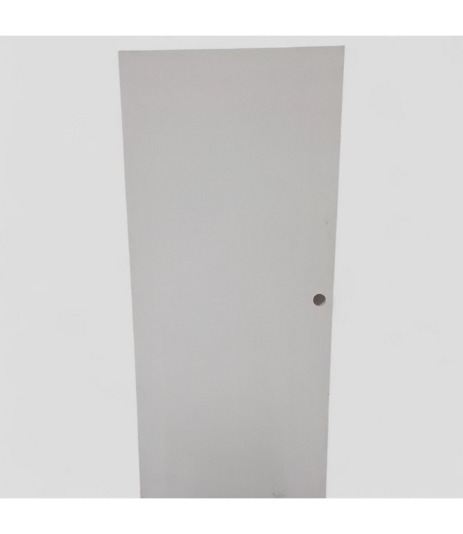 48465 Reliabilt 36-in x 80-in Fire Rated Door