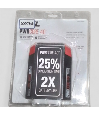 48501 Skil 40 -Volt, 2.5 Ah 1 -Pack Lithium Ion Battery