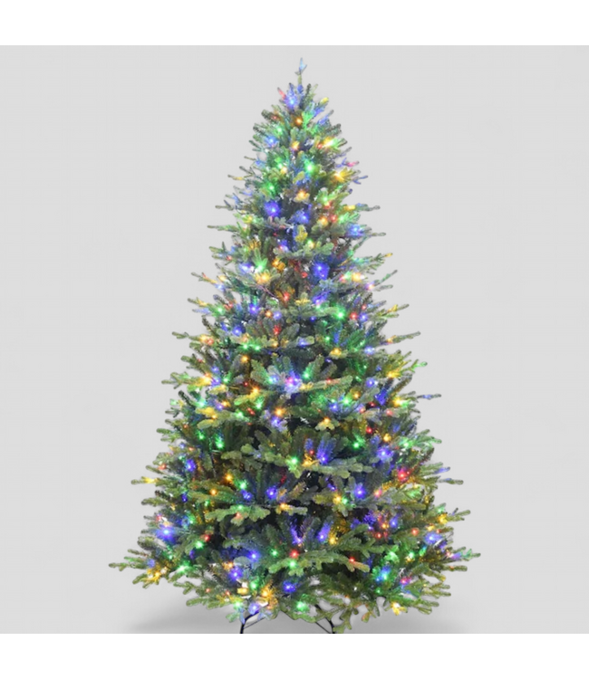 47302 Fraser Hill Farm 9' Oregon Pine Pre-Lit Christmas Tree