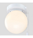 48747 Project Source 2-Light Globe Flush MOunt Lights 2-pk
