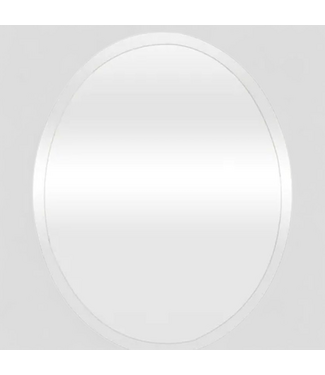 48772 Project Source 22"W x 28"H Wall Mirror