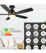 48762 Carro USA Black & Gold Smart Ceiling Fan 52"