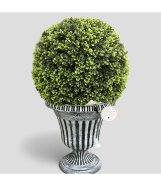 48799 Allen + Roth Boxwood Artificial Plant