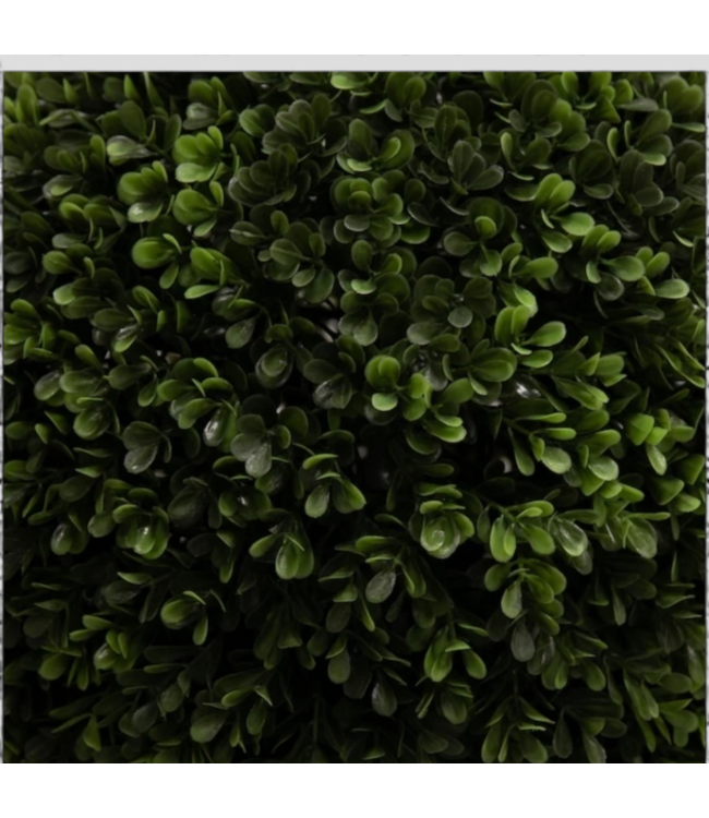 48799 Allen + Roth Boxwood Artificial Plant