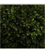 48799 Allen + Roth Boxwood Artificial Plant