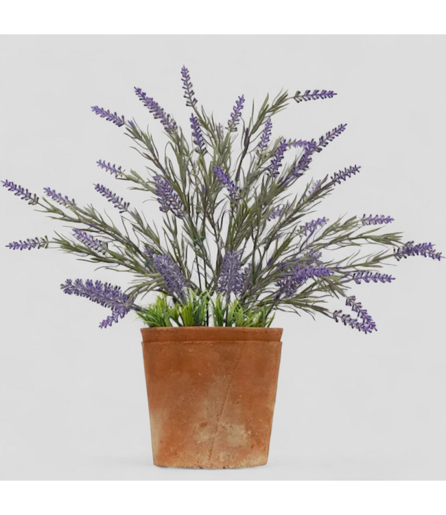 48813  allen + roth 14-in Purple Lavender Artificial Plant
