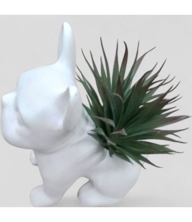 48815 Origin 21 8-in Matte Desktop Agave Artificial Plant