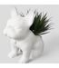 48815 Origin 21 8-in Matte Desktop Agave Artificial Plant
