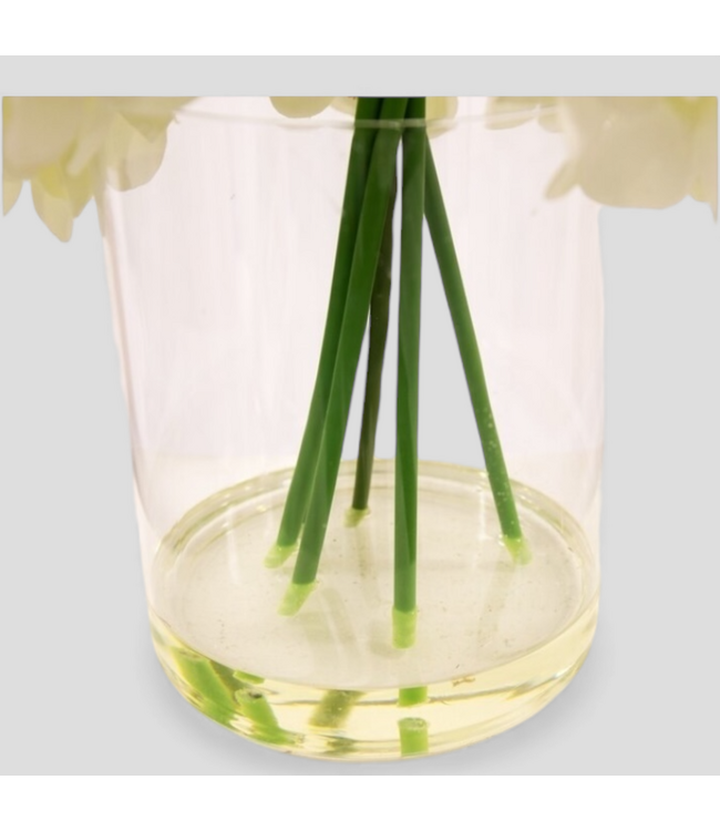 48825 Allen + Roth Desktop Hydrangea Plant