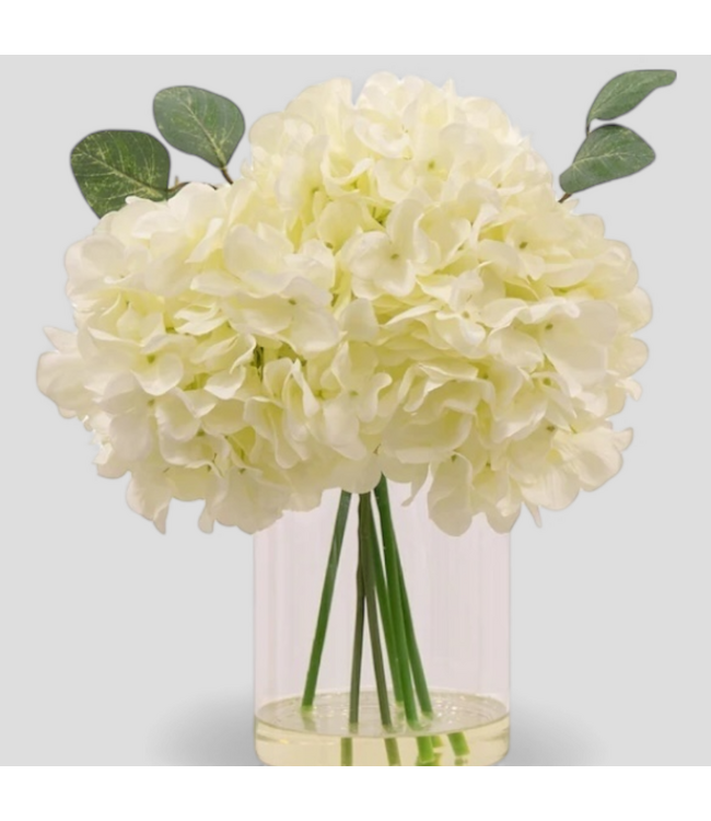 48825 Allen + Roth Desktop Hydrangea Plant
