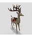 48923 Holiday Living Christmas Deer Decoration