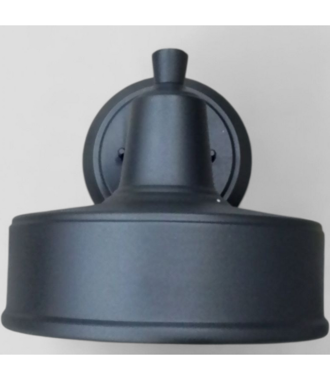 48934  Trans Globe Channing Outdoor Wall Light