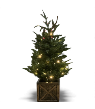 48999 Nearly Natural Douglas Fir Pre-Lit Christmas Tree