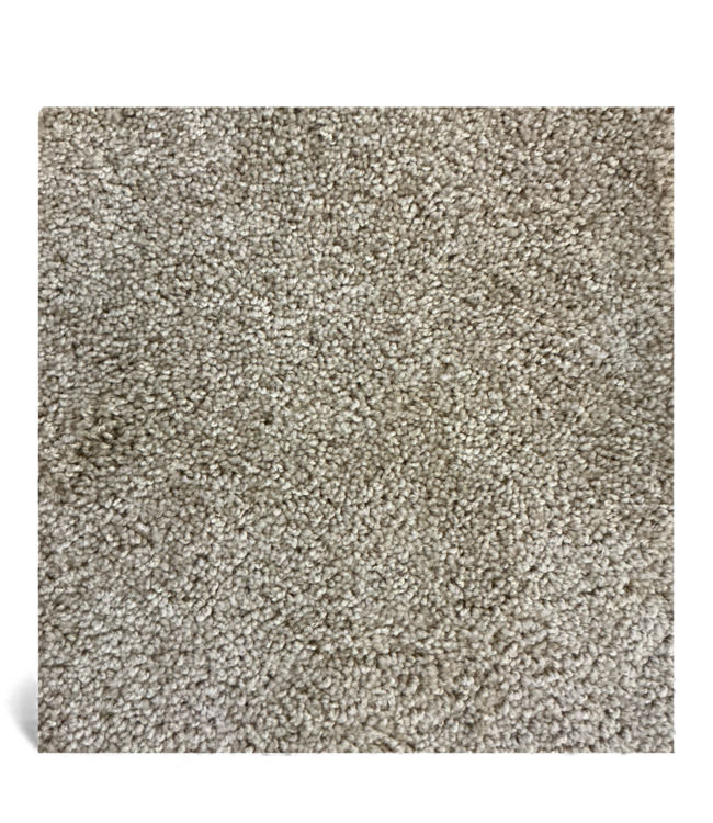 49008 Champagne Shag Residential Carpet Roll 360 sq. ft.