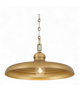 49013 North Coast Lighting One Light Hanging Pendant