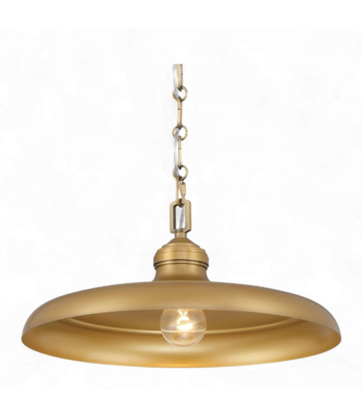 49013 North Coast Lighting One Light Hanging Pendant
