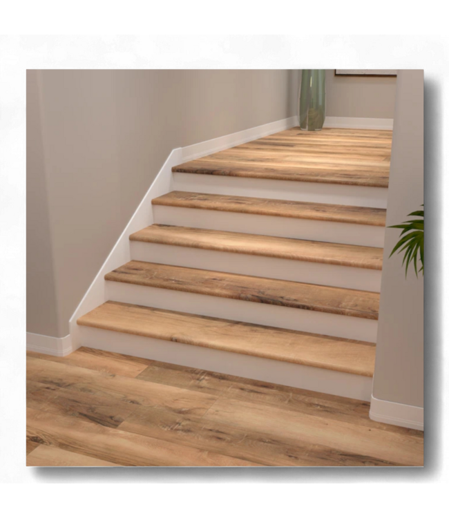 49185 Cali Longboards Vinyl Pro Set of 7