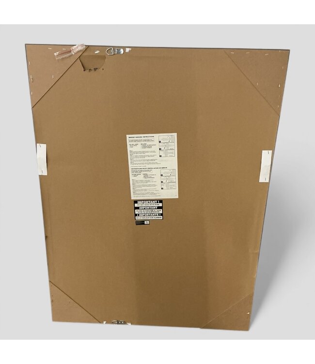 49219 Champagne Framed Rectangle Mirror 31" x 41"