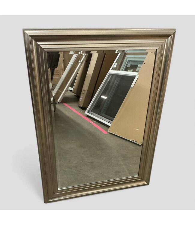 49219 Champagne Framed Rectangle Mirror 31" x 41"
