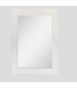 49334 allen + roth 30-in W x 42.0-in H Wall Mirror