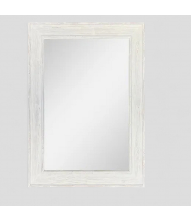 49334 allen + roth 30-in W x 42.0-in H Wall Mirror