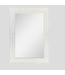 49334 allen + roth 30-in W x 42.0-in H Wall Mirror