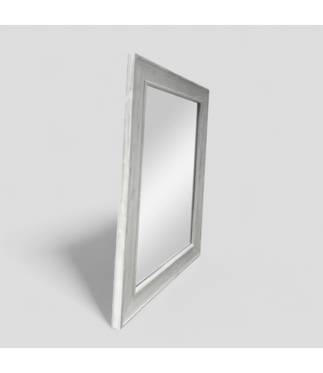 49334 allen + roth 30-in W x 42.0-in H Wall Mirror