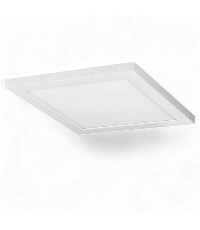 49437 Nuvo Blink Plus Surface Mount LED Light Fixture 12"W
