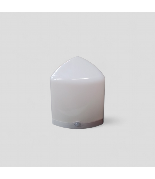 49449 Battery Powered Motion Activated LED Light