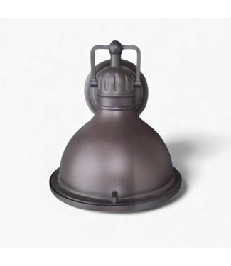 49466 Bronze Dark Sky Outdoor Wall Light 9.5-in H