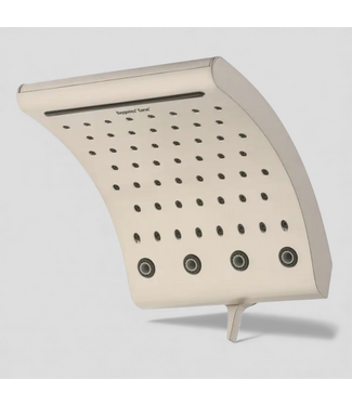 49494 Brushed nickel Rain High Pressure Shower Head