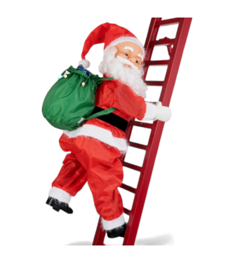 49509 Mr.Christmas Animatronic Santa Decoration