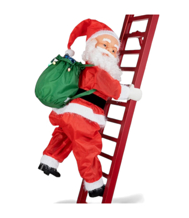 49509 Mr.Christmas Animatronic Santa Decoration