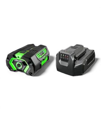 49571 56 -Volt, 5 Ah 1 -Pack Lithium Ion Battery/Charger