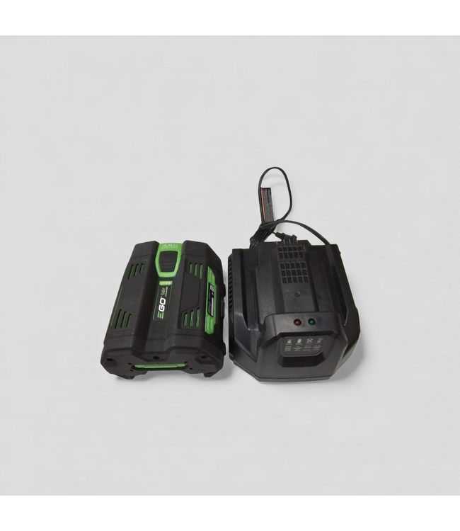 49571 56 -Volt, 5 Ah 1 -Pack Lithium Ion Battery/Charger