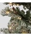 49618 Pre-Lit Frosted Emerald Christmas Tree 9.5' ft