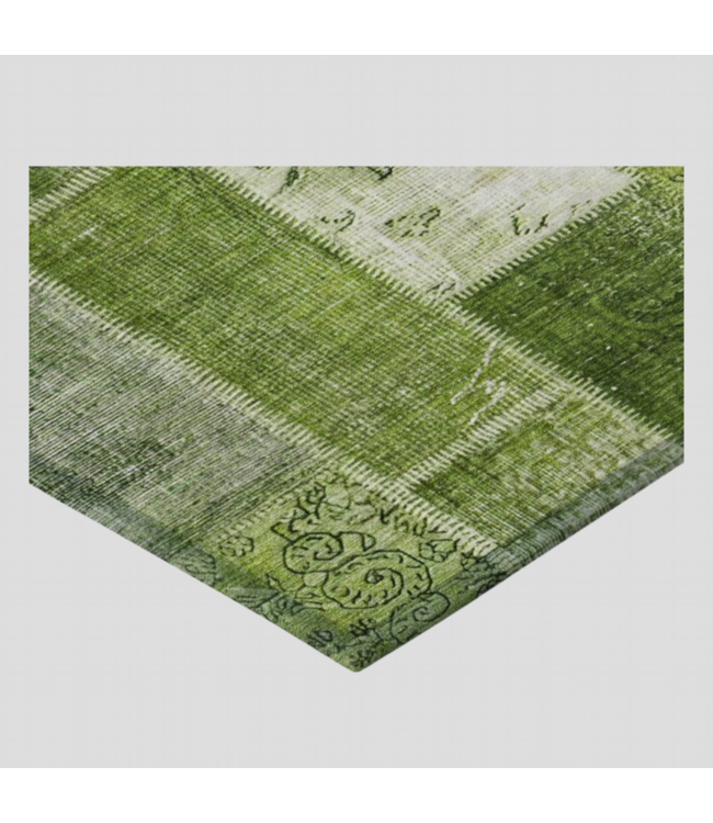 49617 Olive Rectangular Indoor/Outdoor Area Rug 2 x 3 (ft)